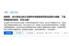 广元为什么选择专业追讨公司来处理您的债务纠纷？